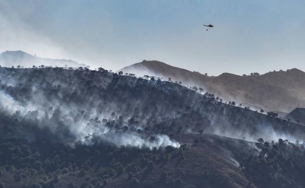 Extinguido el incendio declarado este viernes en la sierra de Carrascoy