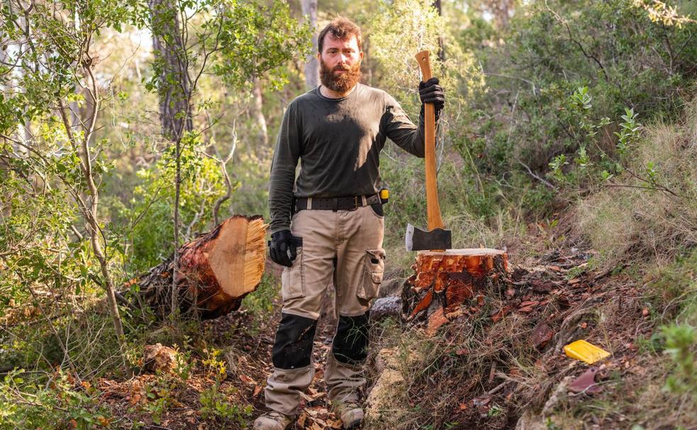 El eco de un hacha en el silencio del bosque