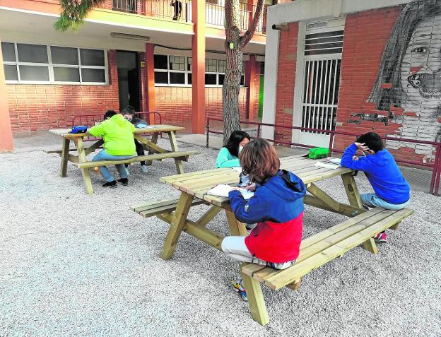 Ciencias naturales bajo los árboles