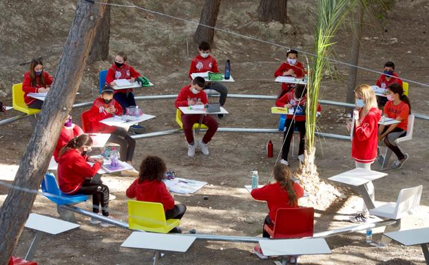 Matemáticas a la sombra de los pinos