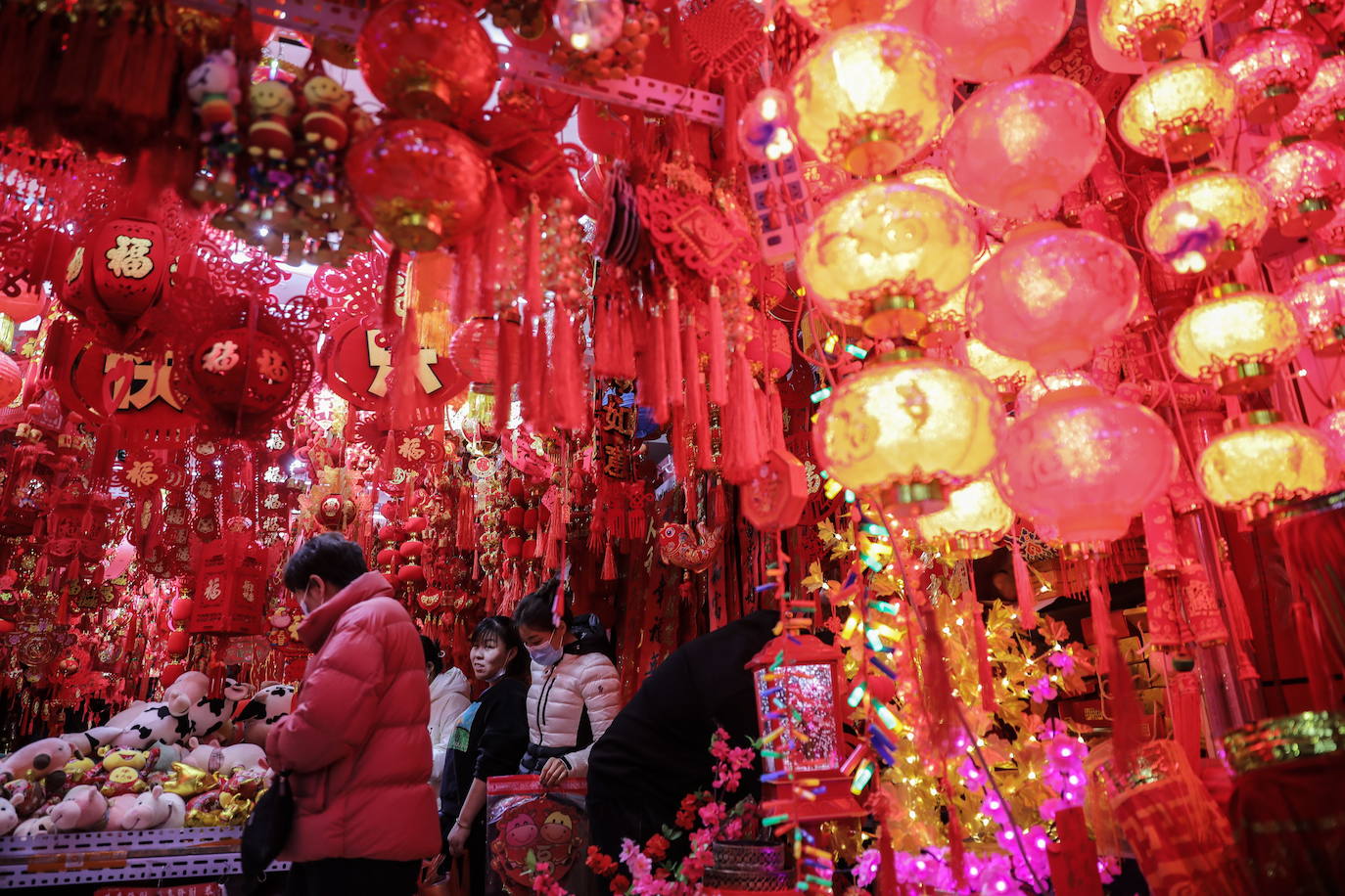 Preparados para el buey