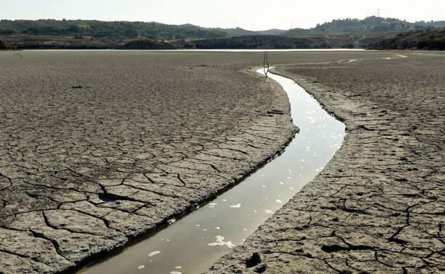 El cambio climático amenaza a la Región con una subida de las temperaturas máximas de hasta 6,4ºC