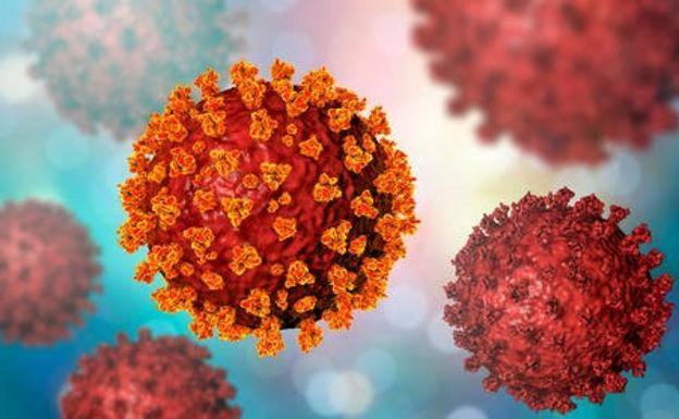 La OMS desvela lo que ha descubierto sobre el origen del coronavirus: «Es poco creíble»