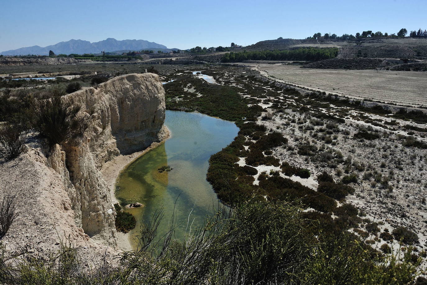 Los 20 'puntos calientes' más valiosos para la biodiversidad