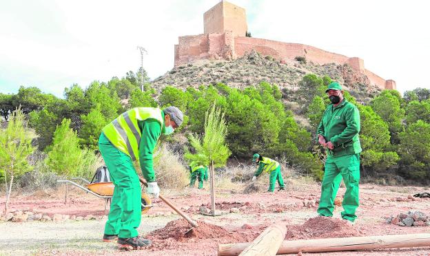 La ruta del Cejo en Lorca ganará 1,5 kilómetros y tendrá más vegetación autóctona