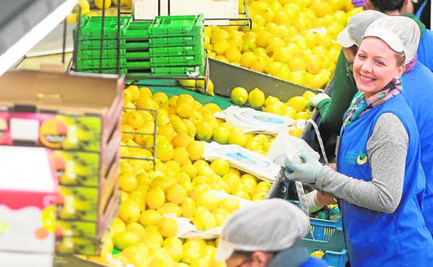 Los exportadores aprovechan la llegada de Biden para ganar mercado en EE UU