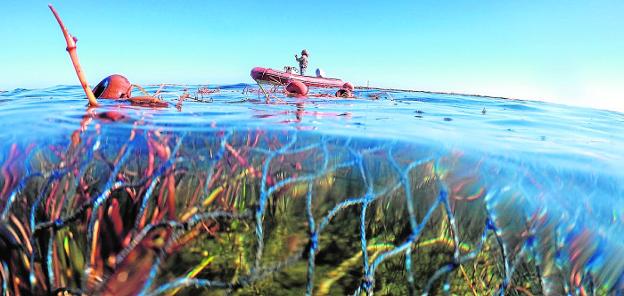 Los humedales de la Región se ponen a tiro de objetivo