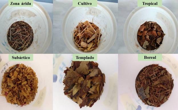 Biodiversidad, la inversión más segura