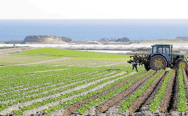 Primer paso para el plan de ordenación de Cabo Cope-Calnegre