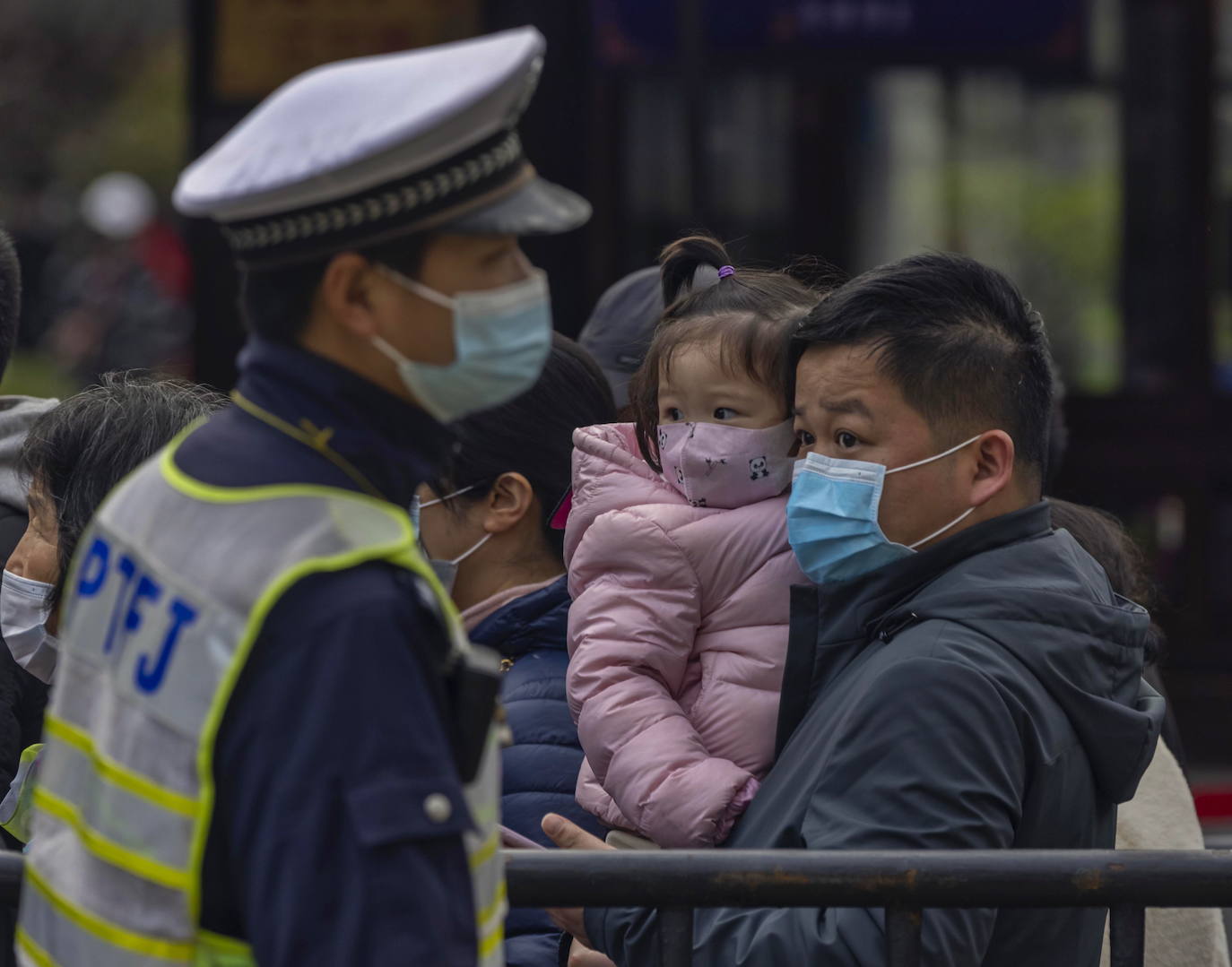 El año del buey ya está aquí