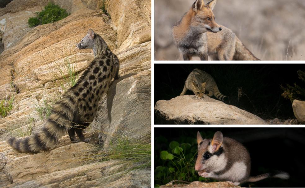 La vida secreta de nuestros compañeros de clase