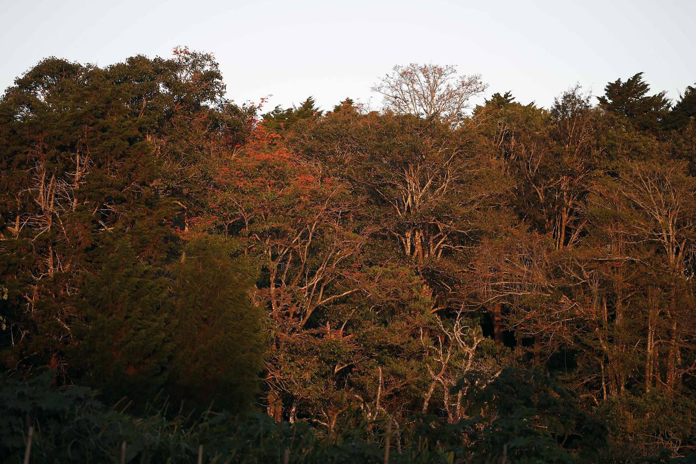 Costa Rica crea los Parques Naturales Urbanos para impulsar ciudades verdes