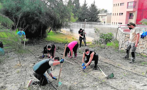 Un jardín para insectos en Molina de Segura