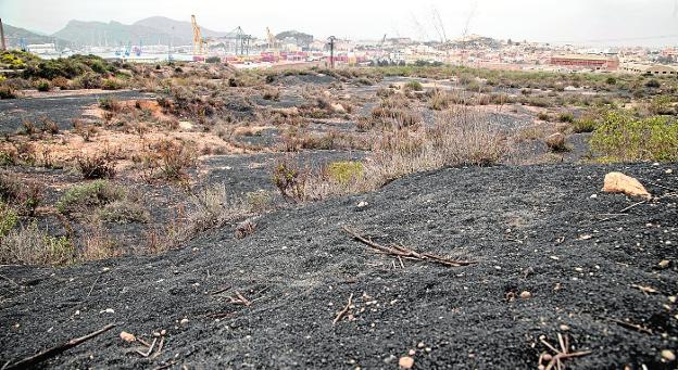La Policía Local de Cartagena urge a vallar el entorno de Peñarroya por los residuos peligrosos