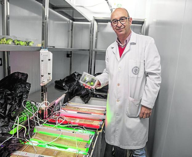 Controlar a distancia la calidad de los productos perecederos es posible