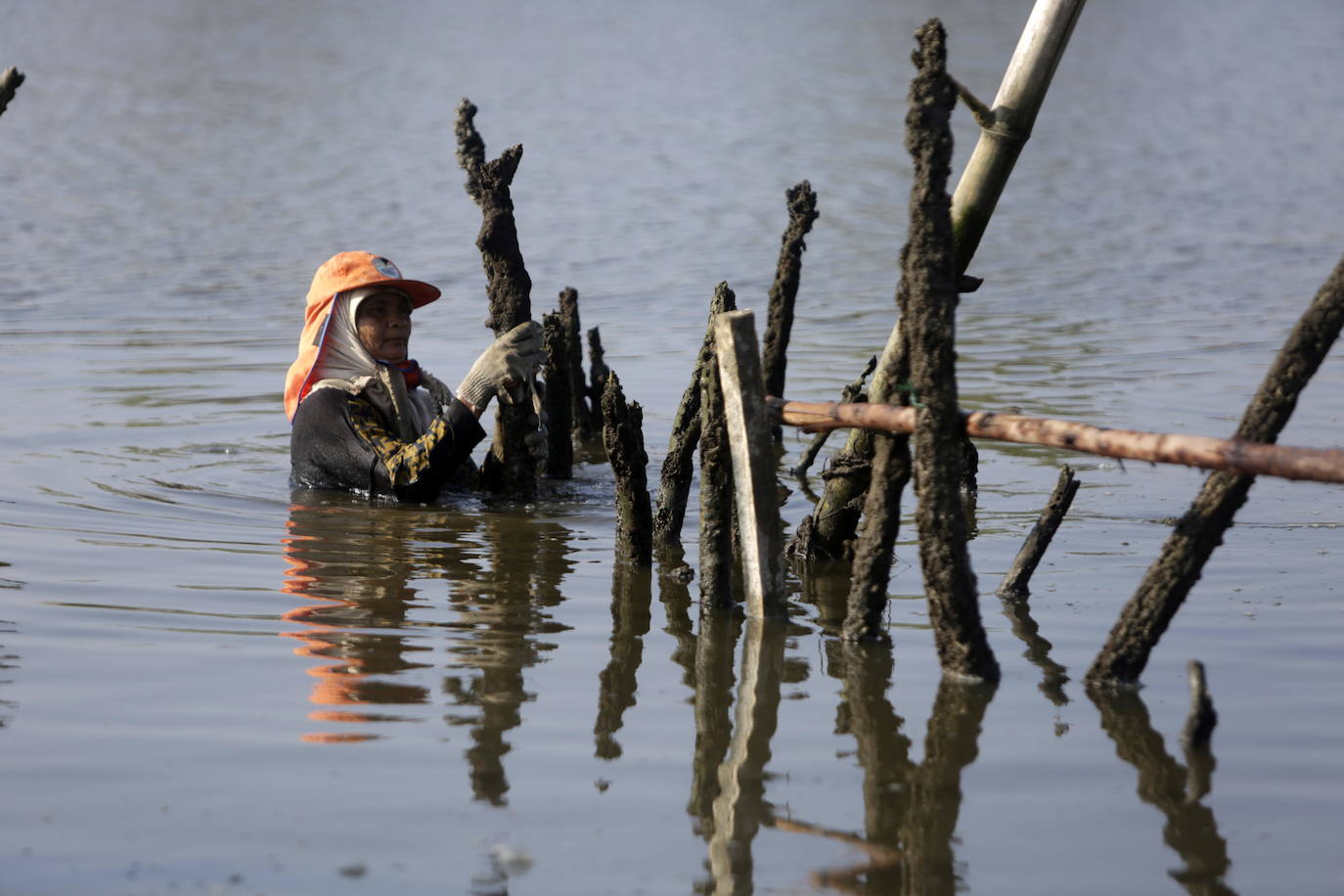 Los mariscadores de Indonesia