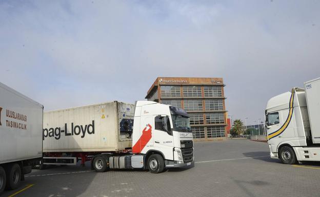 Reino Unido exime a los exportadores de los controles fitosanitarios hasta enero de 2022