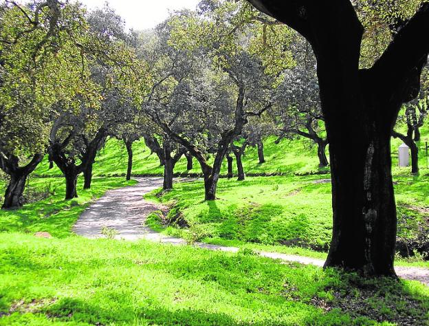 Profesionales al servicio de la preservación de la naturaleza