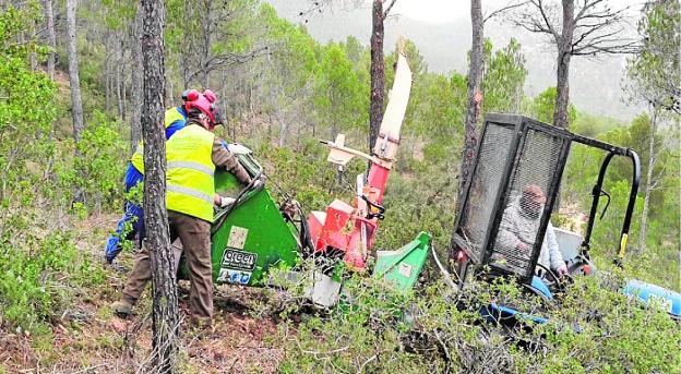 Ibarra Lorca, distribuidor de maquinaria específica para la actividad forestal