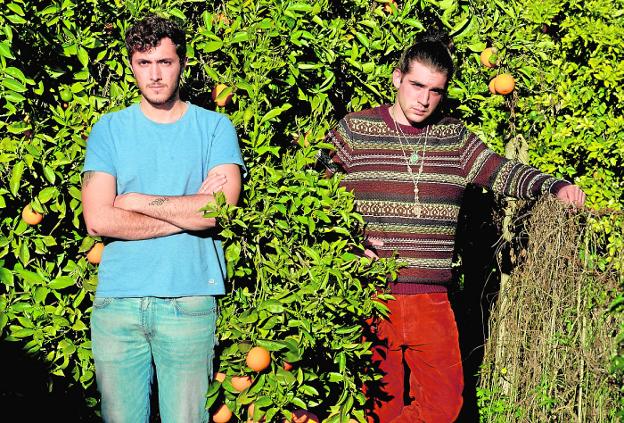 Una puerta al éxito desde 'Limoneros y naranjos'