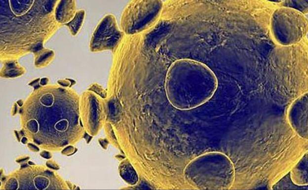 Los enfermeros alertan del peligro de la nueva variante del coronavirus que ya se ha detectado en la Región de Murcia