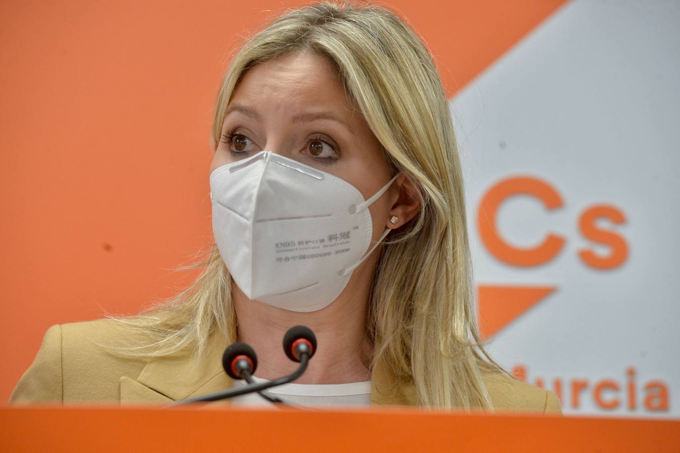 Martínez Vidal anuncia la retirada de la modificación de la Ley del Presidente