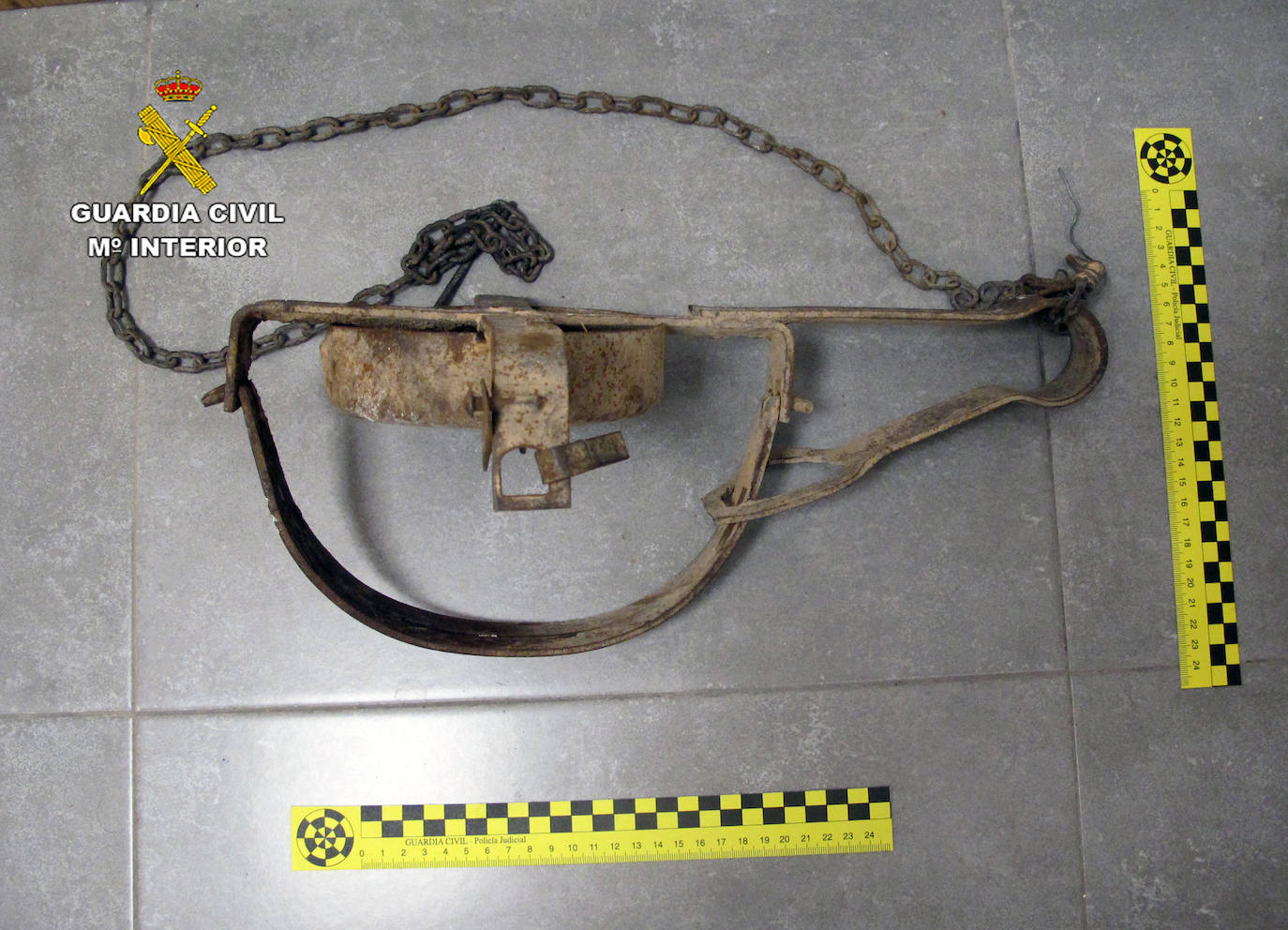 Investigan a dos vecinos de Murcia y Cartagena por dos delitos de abandono animal