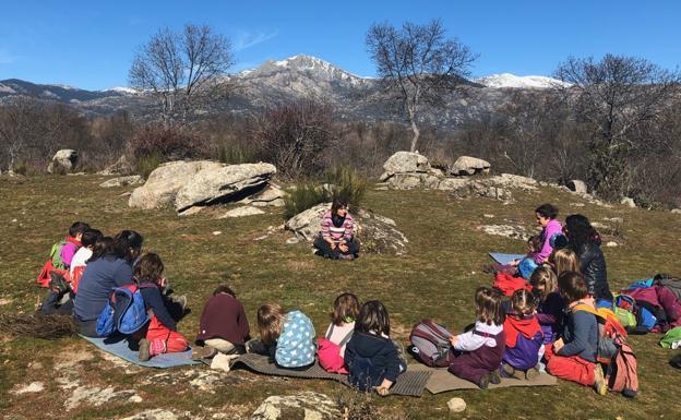 Bosquescuela, un colegio en la naturaleza