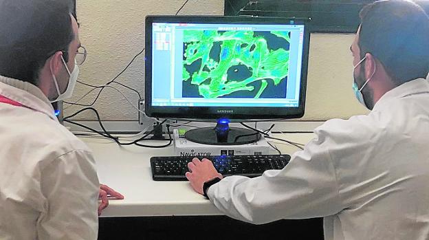 Medicina personalizada y reposición de fármacos contra el cáncer de mama