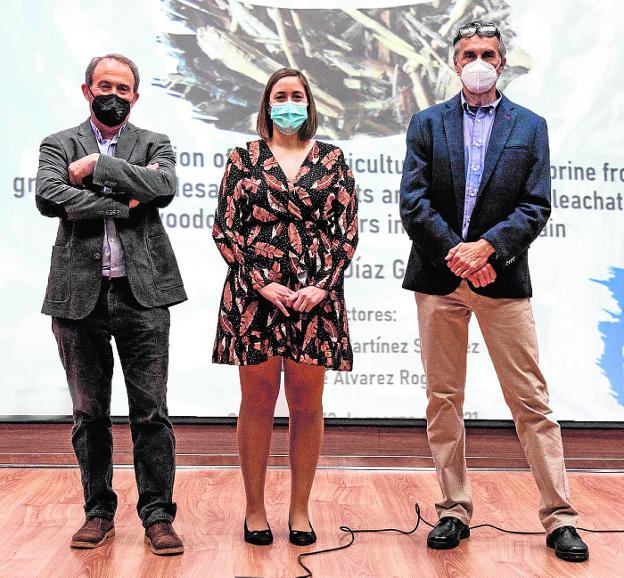 Presentan una tesis sobre desnitrificación de salmueras con biorreactores de madera