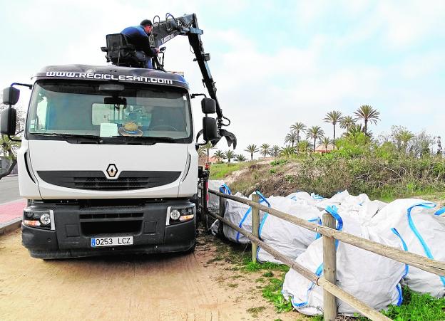 Duelo sin piedad contra las exóticas invasoras de las dunas de San Pedro