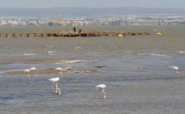 Cartagena reclama seguridad jurídica al Estado para dragar sus playas en el Mar Menor