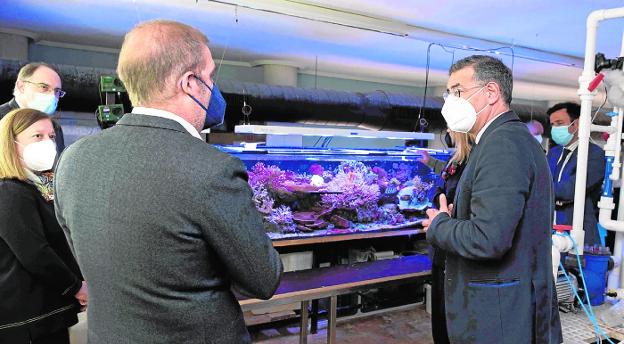 La importancia de conservar los océanos