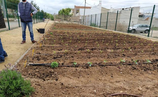 El huerto urbano La Estación de Molina de Segura se abre a las personas con discapacidad