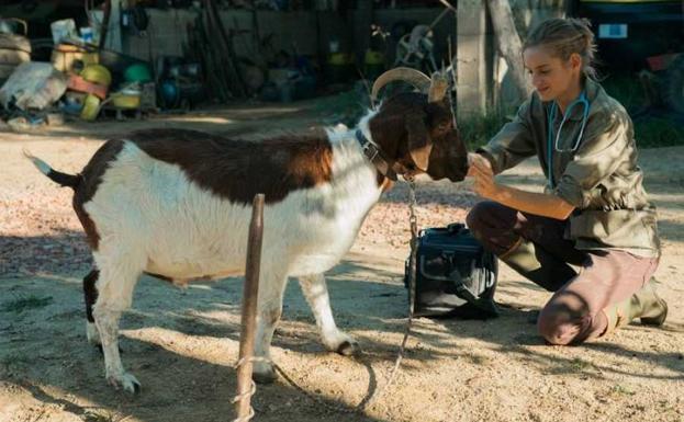 'Una veterinaria en la Borgoña': Una comedia rural sobre la búsqueda de la identidad