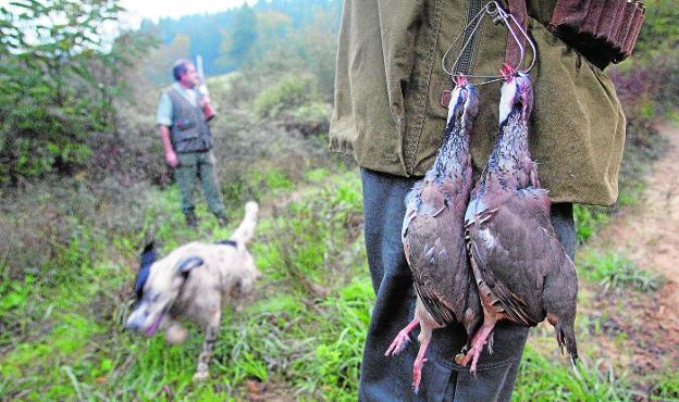 Cómo se ha ido poniendo coto a la caza desordenada