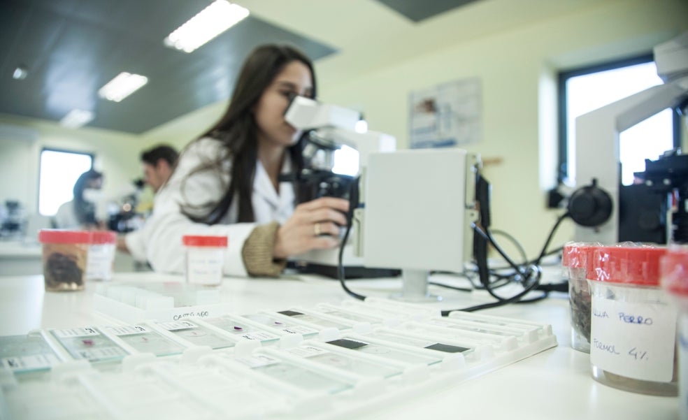 Cesur continúa su crecimiento y crea más de 7.000 nuevas plazas de FP para el próximo curso