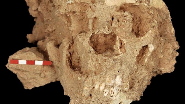Los neandertales de la Sima de las Palomas ayudan a desvelar la historia evolutiva