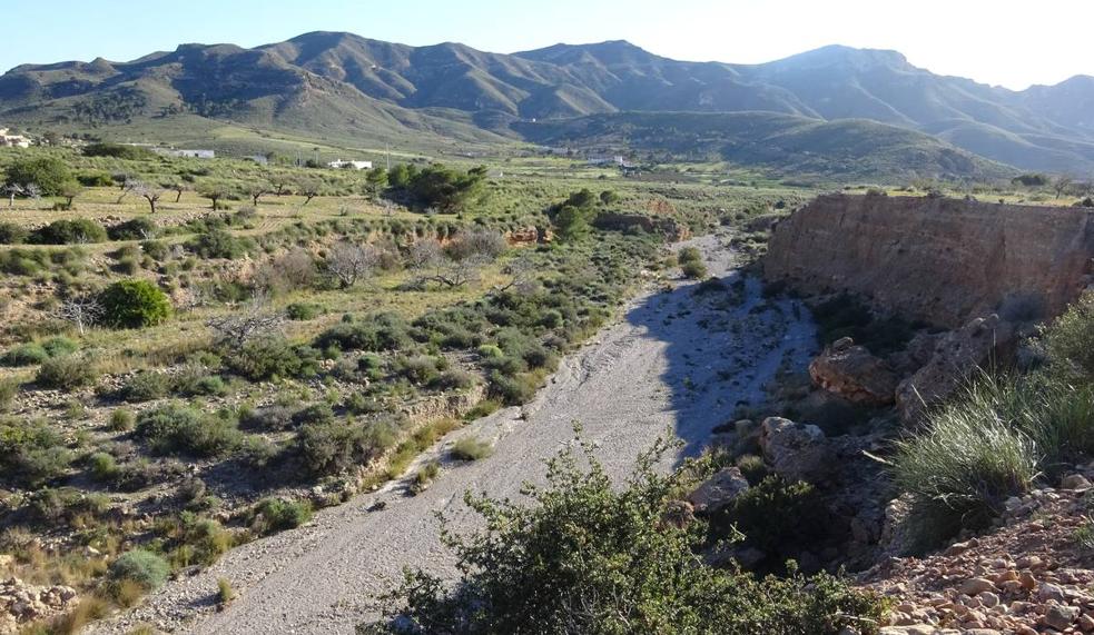 La vida que esconden nuestras ramblas