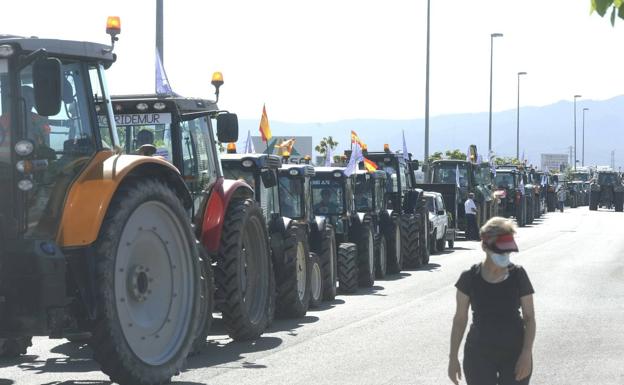 La 'tractorada' en defensa del Trasvase Tajo-Segura, en directo