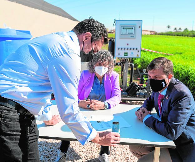 Fundación Estrella de Levante y UPCT estudian la capacidad de la cebada como filtro verde para el Mar menor