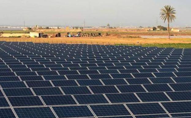 Ecologistas en Acción presenta alegaciones a tres plantas solares en el Campo de Cartagena