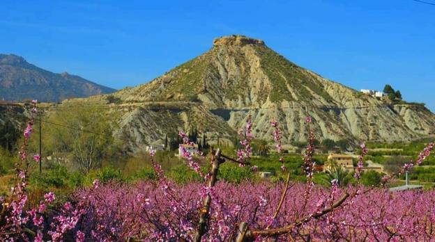 Enclaves para curiosos en el Valle de Ricote