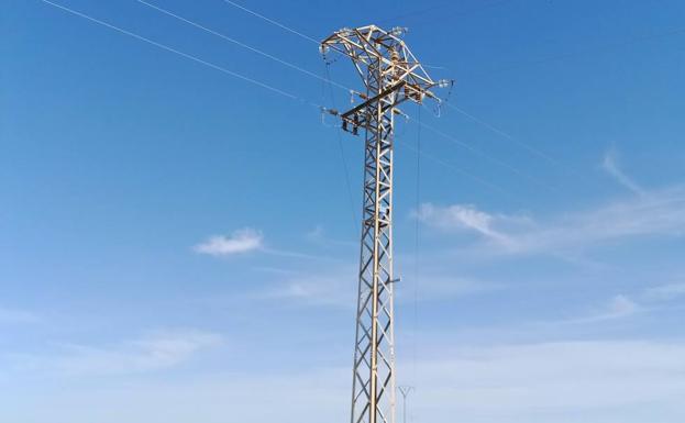 ANSE indica que el tendido donde se electrocutó el águila perdicera en Los Martínez del Puerto no está corregido