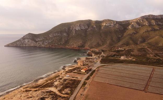 ANSE presenta un recurso judicial por el retracto de Cabo Cope