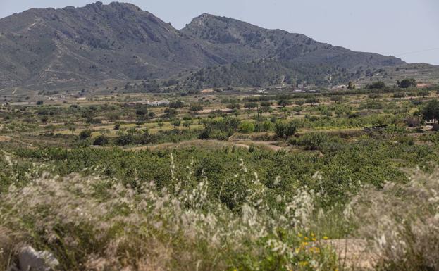 Vecinos, ecologistas y partidos fuerzan una moratoria a las plantas solares en Cartagena