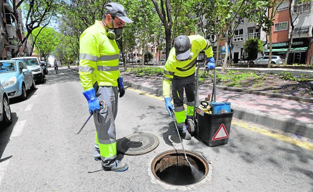 Los vecinos de Murcia podrán saber cómo se controla la plaga de roedores y cucarachas en cada calle