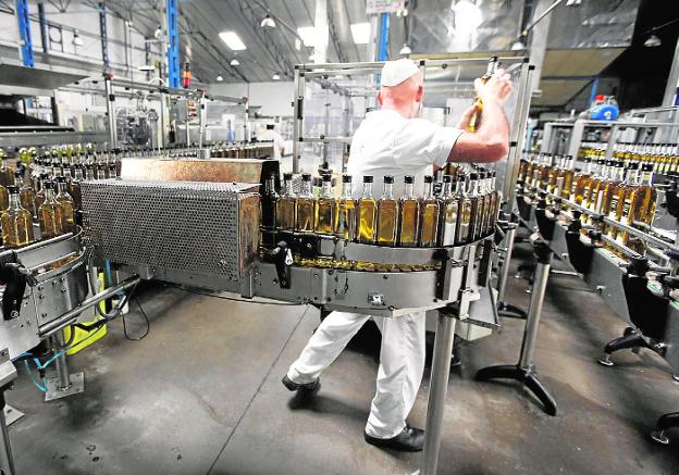 El aceite de oliva murciano 'vuela' de las almazaras ante la escalada de precios