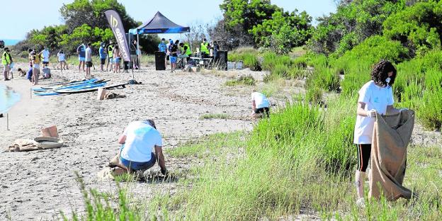Los voluntarios retiran 260 kilos de basura del Estacio