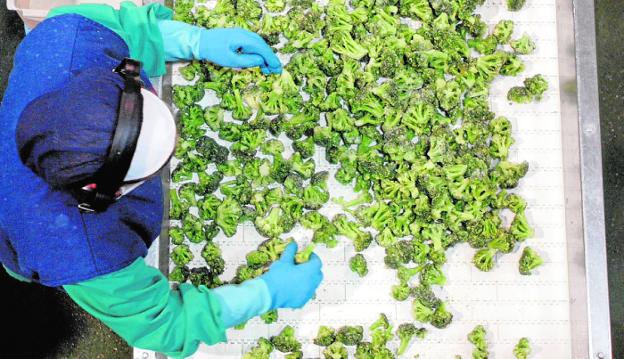 Las verduras congeladas de la Región pierden una década de expansión en el exterior
